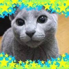 職業訓練の面接 ネイリスト養成科 自宅でネイルサロンやりたい ママさんでも短くてもオトナ可愛い カイのひなたぼっこ 職業訓練の面接 ネイリスト養成科 自宅でネイルサロンやりたい ママさんでも短くてもオトナ可愛い カイのひなたぼっこ