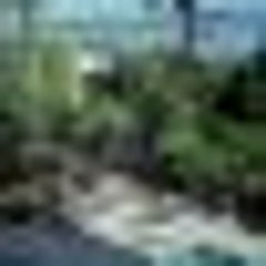 islanderのプロフィール