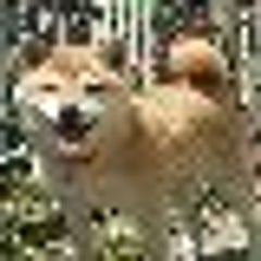 yunのプロフィール