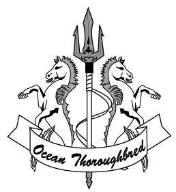 Ocean Thoroughbred オーシャンサラブレッド RAPTOR 210F ラプター210 Amazon.co.jp: Ocean Thoroughbred オーシャンサラブレッド