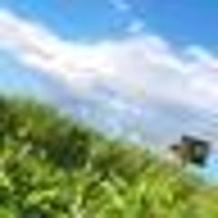あかやあかしやあやかしの 感想 新思うが侭に あかやあかしやあやかしの 感想 新思うが侭に
