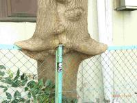 納得出来ない 目白発 ケンチク屋の徒然草