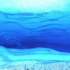 わしやましたのプロフィール