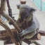 ラブリッチ　44歳で第3子女の子出産！のサムネイル