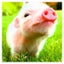 みとのサムネイル