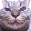 画像 ちぃのブログ　猫好き主婦のなにげない日常(=^ェ^=)のユーザープロフィール画像