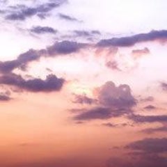 茶絵のプロフィール