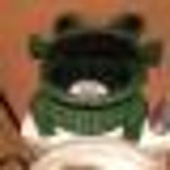 ボドロのプロフィール