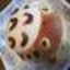 画像 eパンダの元・北京（&世界）ブログ  e-panda in Chinaのユーザープロフィール画像
