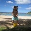 画像 南国ハワイで頑張る母の日常　～　えい、えいっ、オー！のユーザープロフィール画像