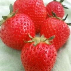 えみふるのプロフィール
