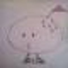 きくぞう君のプロフィール