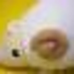 ヘタレハンター七尾のプロフィール