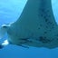 匠唄のサムネイル