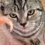 未麻（みお）のサムネイル
