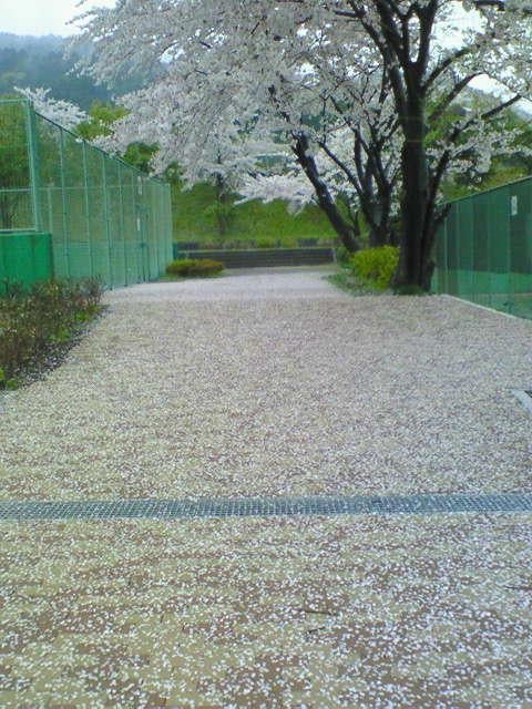 羽島オープンテニス大会のお知らせ 朝倉グリーンテニスクラブのブログ