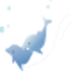 Slow Dolphinのサムネイル