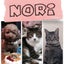 Noriのサムネイル