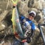 gull123のサムネイル