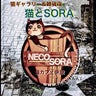 necotosoraのプロフィール