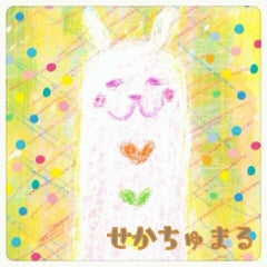 せかちゅまる-𝐙-（sekako)のプロフィール