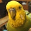 ＊happy7029＊のサムネイル