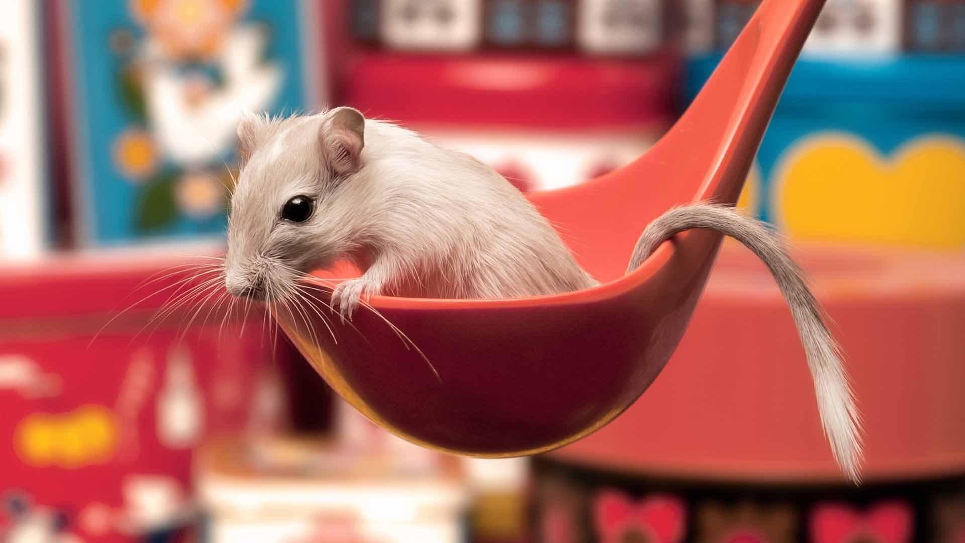 みっちゃん