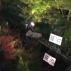 胎嚢 胎児 胎芽の平均表 妊活妊娠記録 卵巣嚢腫無事摘出 胎嚢 胎児 胎芽の平均表 妊活妊娠記録 卵巣嚢腫無事摘出