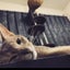 あたむのサムネイル