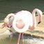 Yohのサムネイル