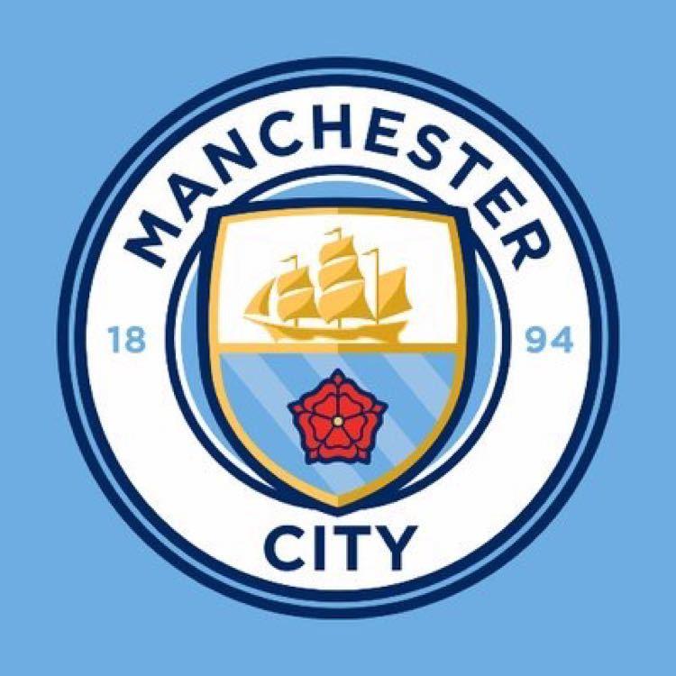 気の早い補強戦略考察 シティに合う選手像は Manchester City100 のブログ