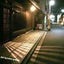 のぶちゃんのサムネイル