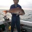 画像 石川県金沢のボート屋 清水マリンのブログのユーザープロフィール画像