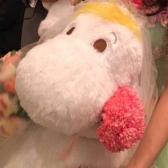 ムーコのプロフィール
