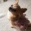 かれんママのサムネイル