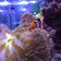 うずまきの、やっぱり魚がすき^^;