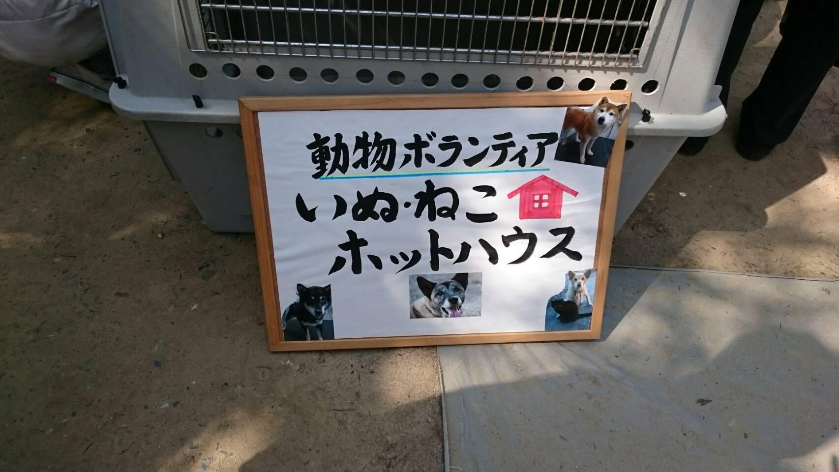 預かりボランティアさん募集 いぬねこホットハウス 三重県 公式ブログ 預かりボランティアさん募集 いぬねこホットハウス 三重県 公式ブログ