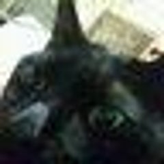 righ1113のプロフィール