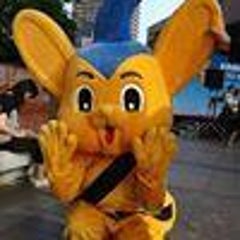 ぱぱらっちKのプロフィール