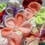 handmadeクリエ 手作りやさかいのサムネイル