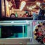 mayumiのサムネイル