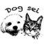 画像 Dog sei☆札幌で就労支援・動物愛護活動をしている一般社団法人のブログですのユーザープロフィール画像