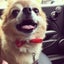 Takamiのサムネイル