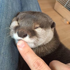 makoのプロフィール