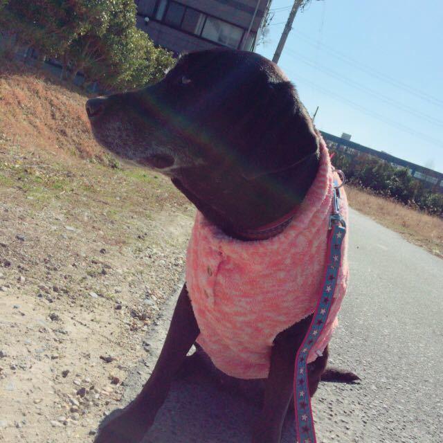 ゆう