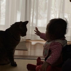 korota0918のプロフィール