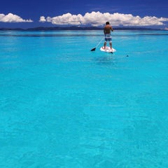okinawa-photographのプロフィール