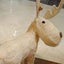 Cotyのサムネイル