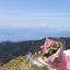 cocoのサムネイル