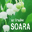 画像 soaraのブログのユーザープロフィール画像